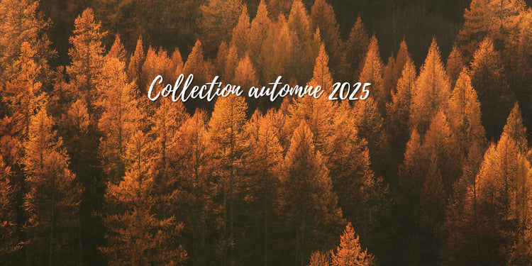 Collection de bougies d'automne 2025