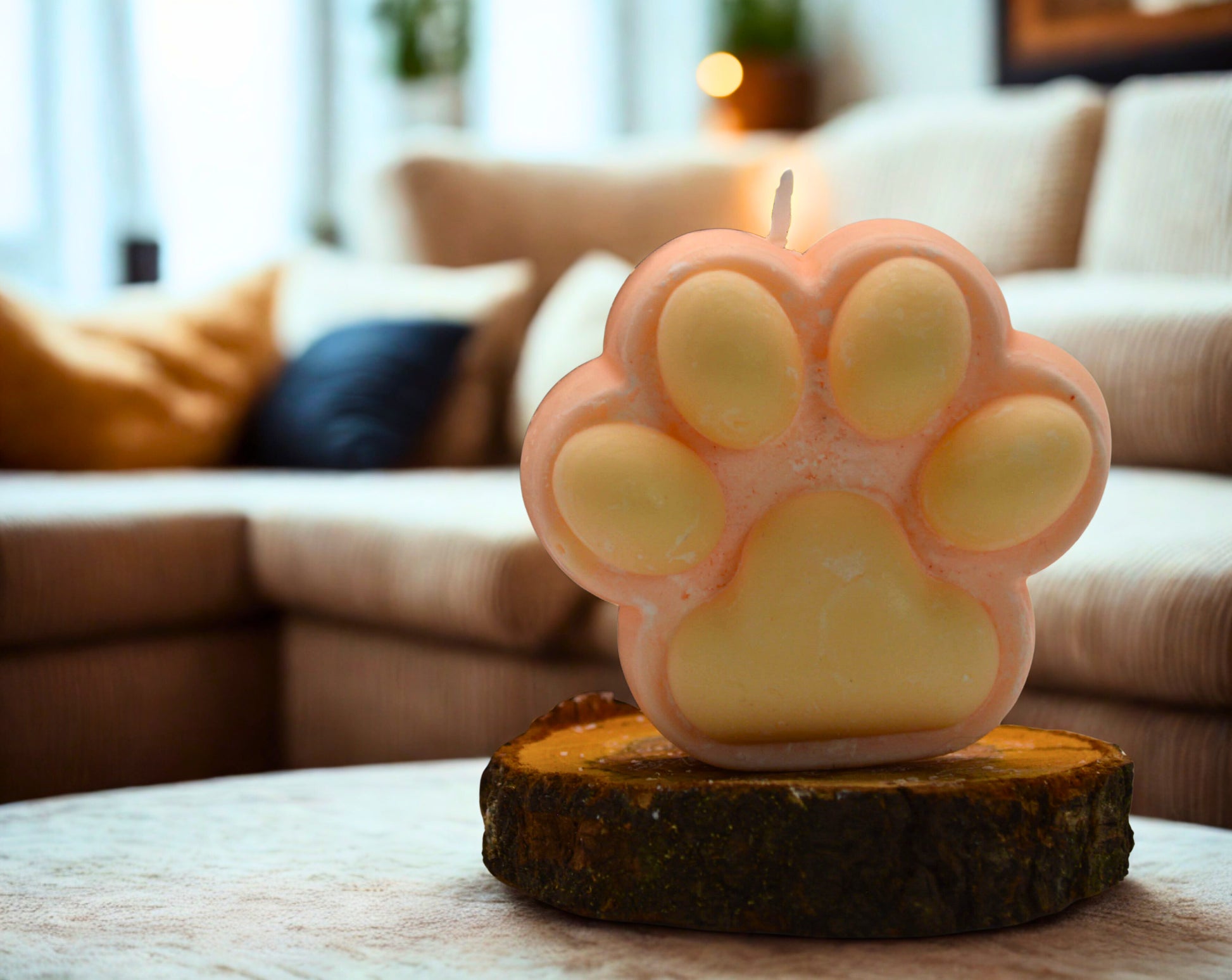 Patte de chat en bougie